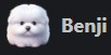 Benji logo